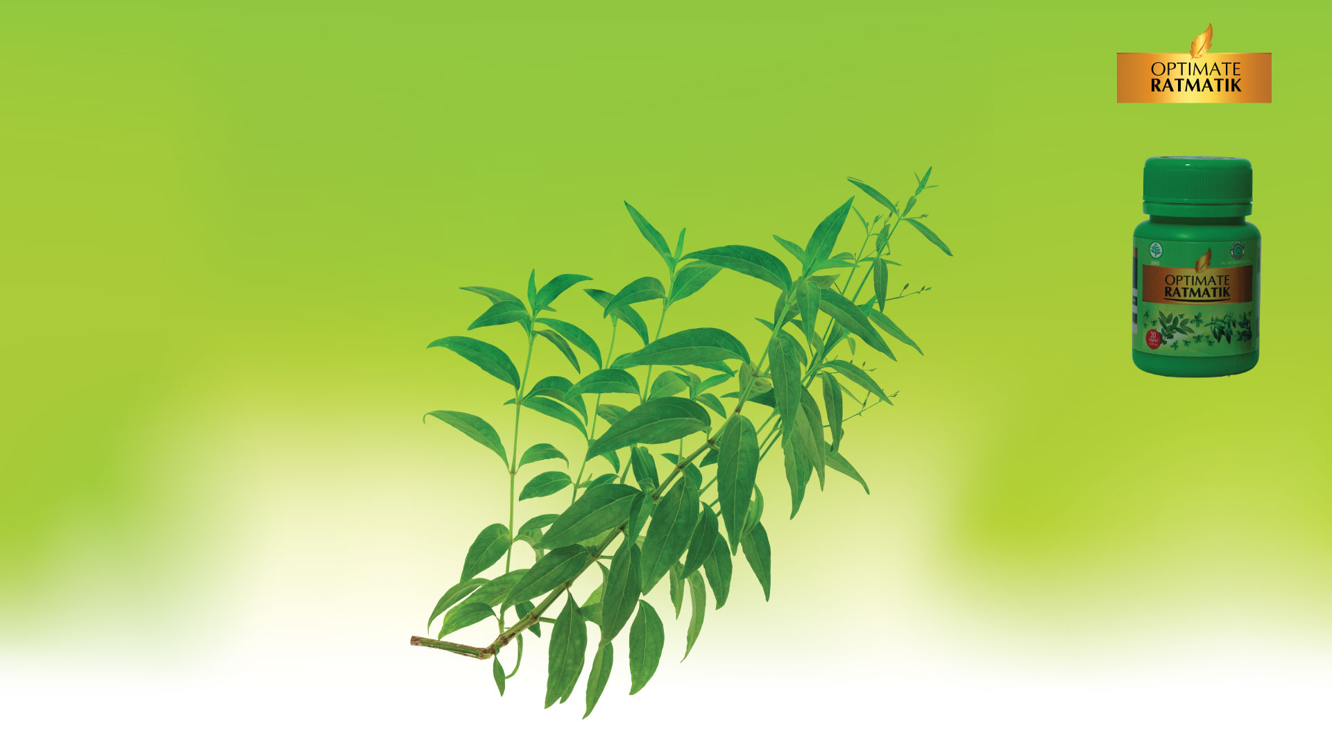 slide-background