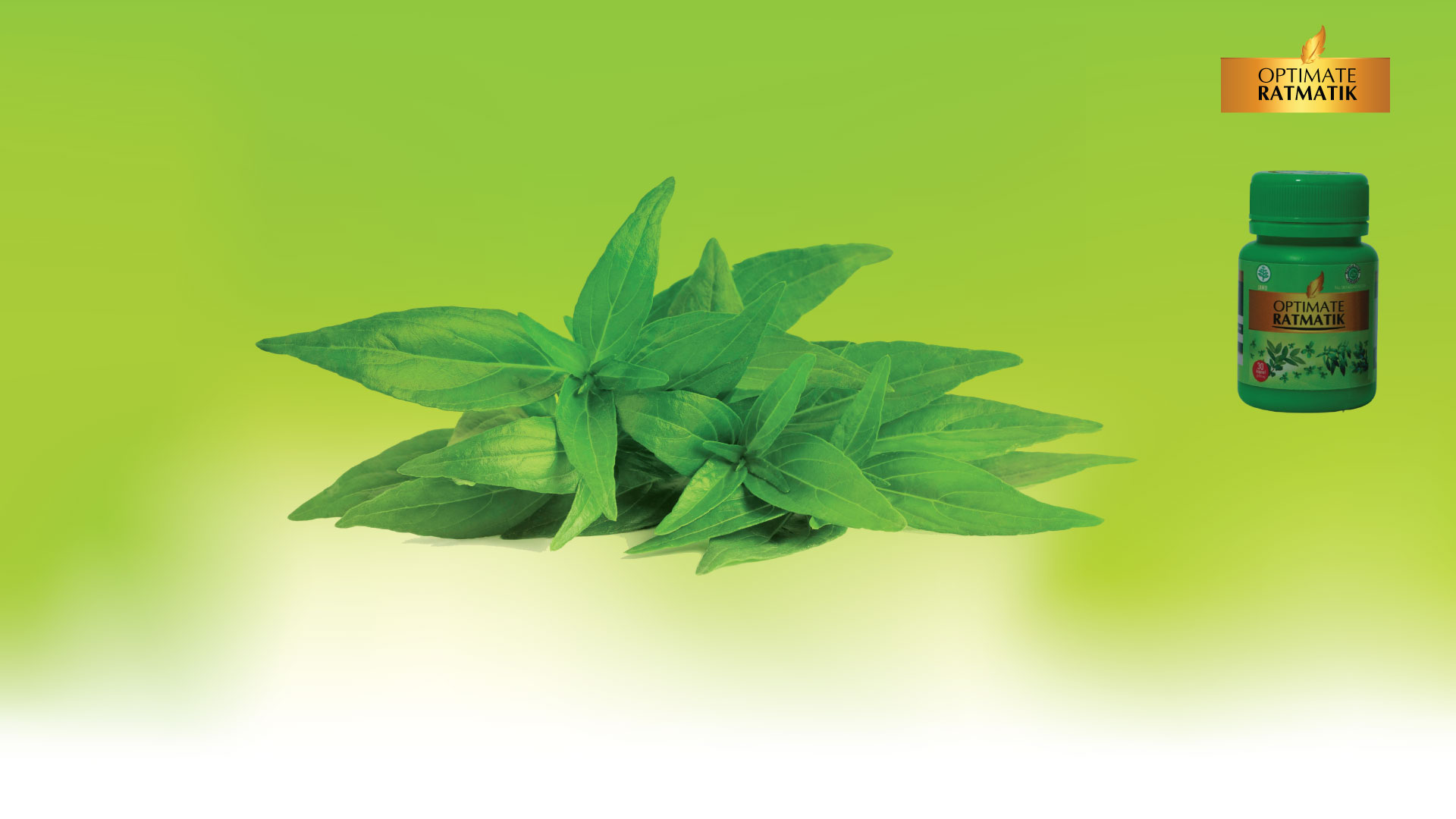 slide-background